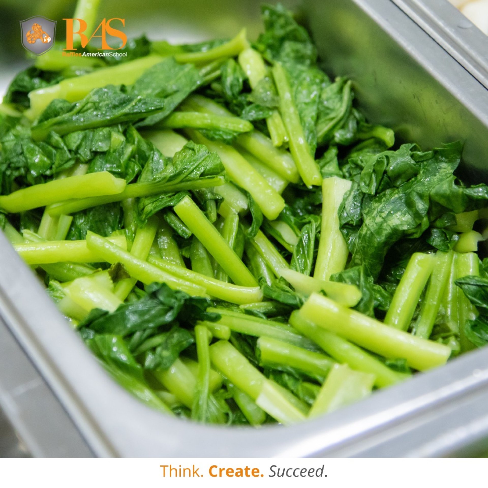 465007371_1126369005627686_720247239394271655_n