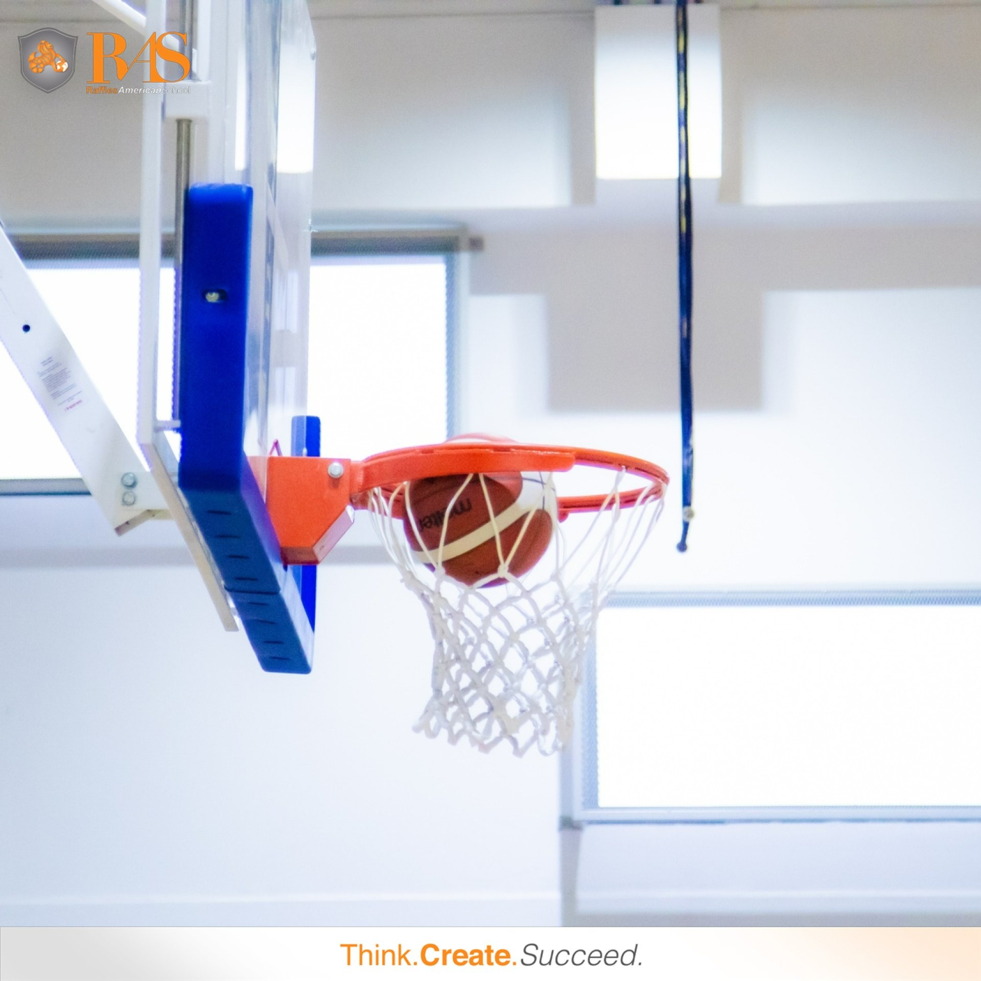 467181670_1138314561099797_4039485727990442122_n