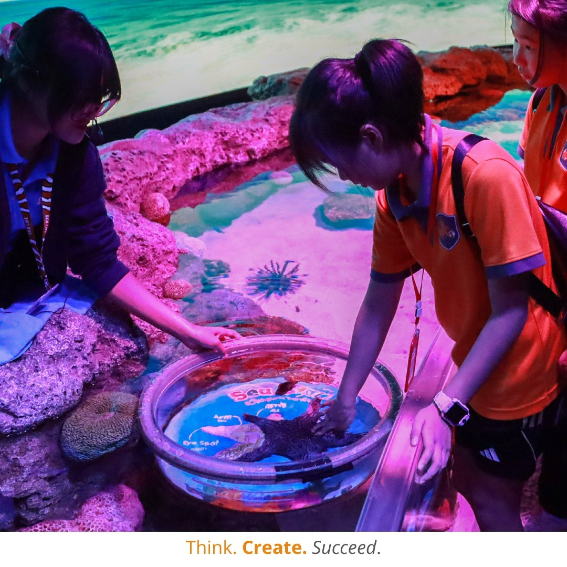 471262649_1163926841871902_2416274638836442272_n